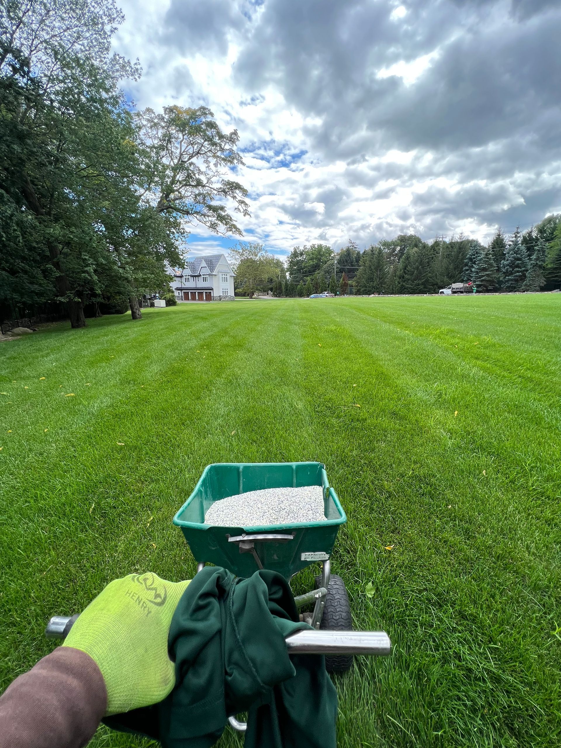 a person is spreading fertilizer on a lush green lawn .