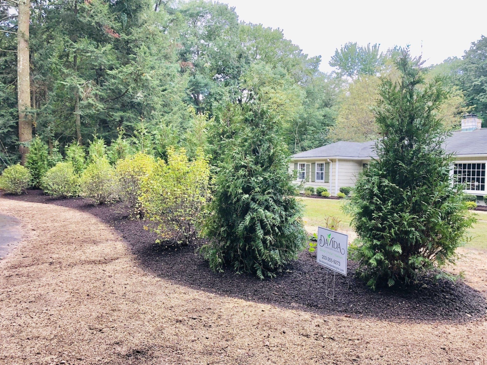 a row of trees and bushes in a yard with a house in the background .