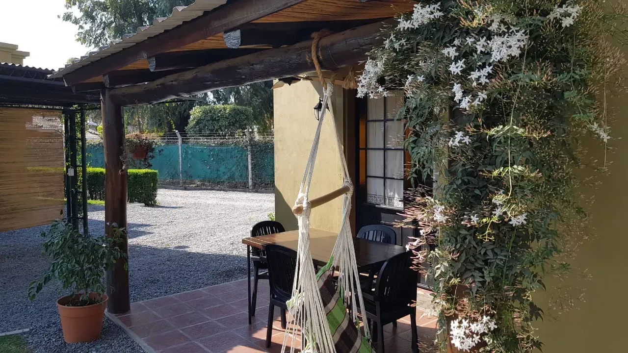 Patio cubierto con plantas en macetas, una mesa y vistas a un jardín de grava soleado.