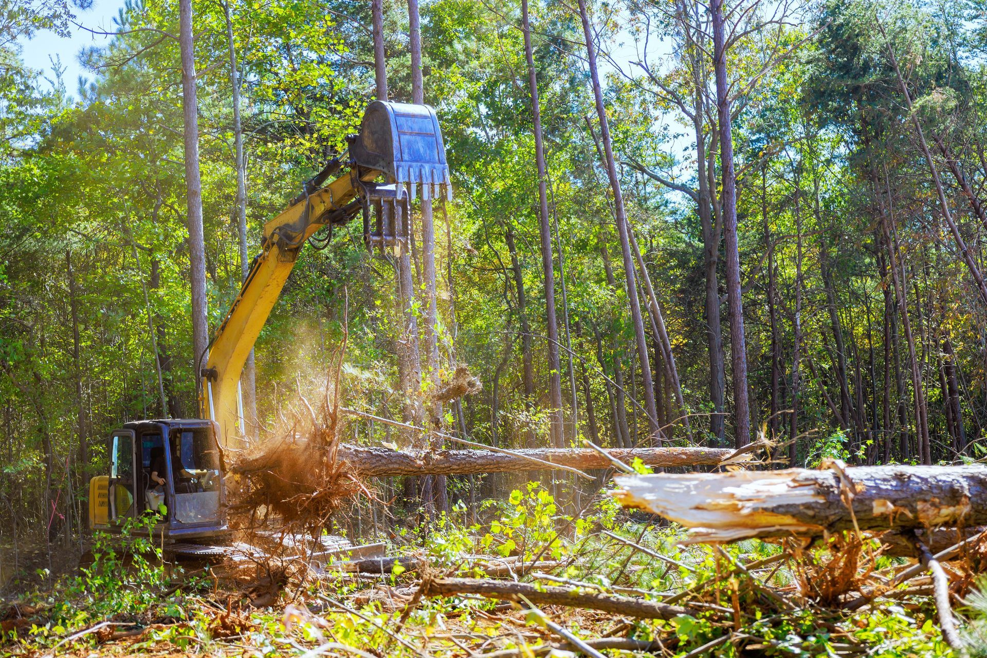 A yellow excavator with a hydraulic thumb attachment clears debris and fallen logs in a sunny, forested area.