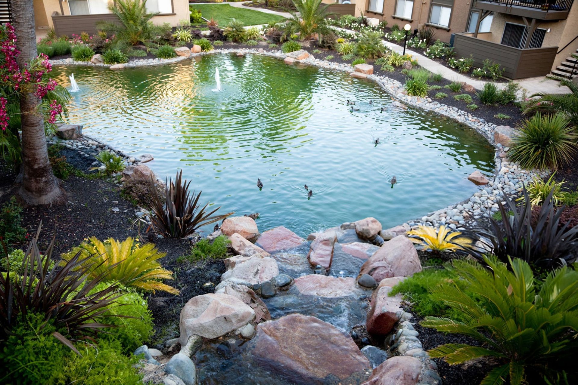 A rock-lined pond with water features in a landscaped residential courtyard with lush green plants and walkways.