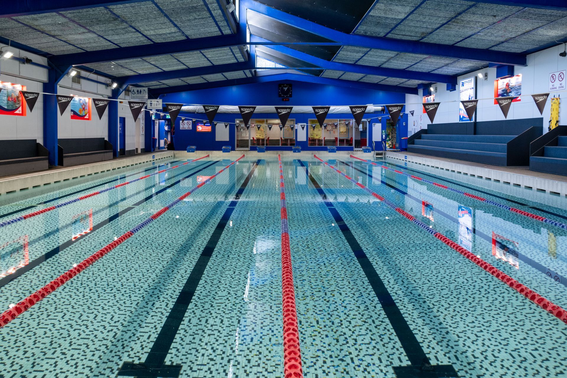 A large indoor swimming pool with red lanes in a gym.