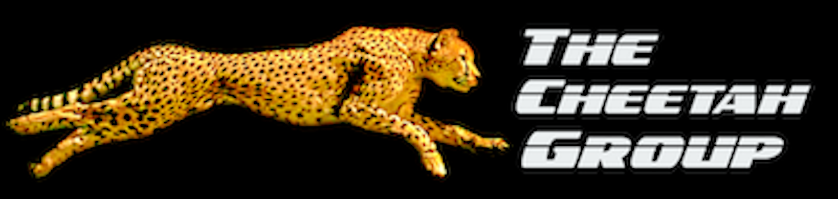 The Cheetah Group INC