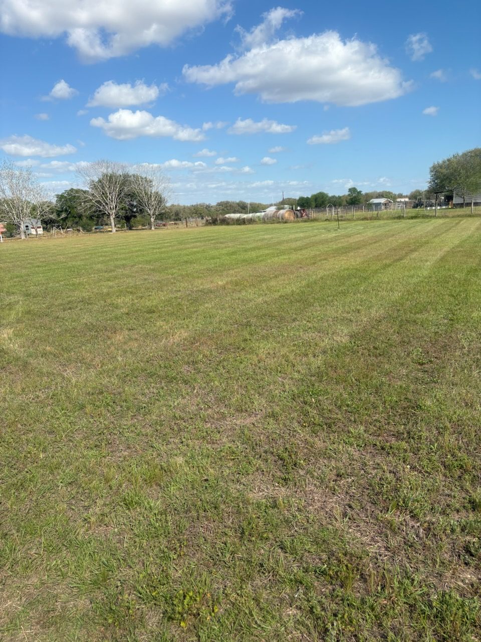Person mowing a green lawn with an orange and black lawnmower in a garden setting.