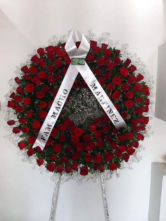 LAS FLORES DE JUANITA