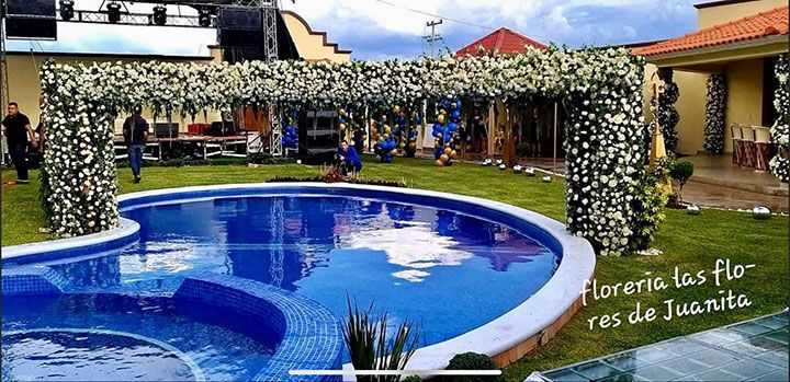 LAS FLORES DE JUANITA