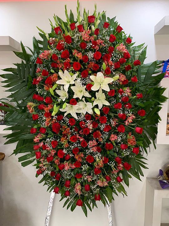 LAS FLORES DE JUANITA