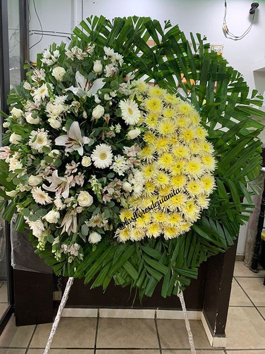 LAS FLORES DE JUANITA