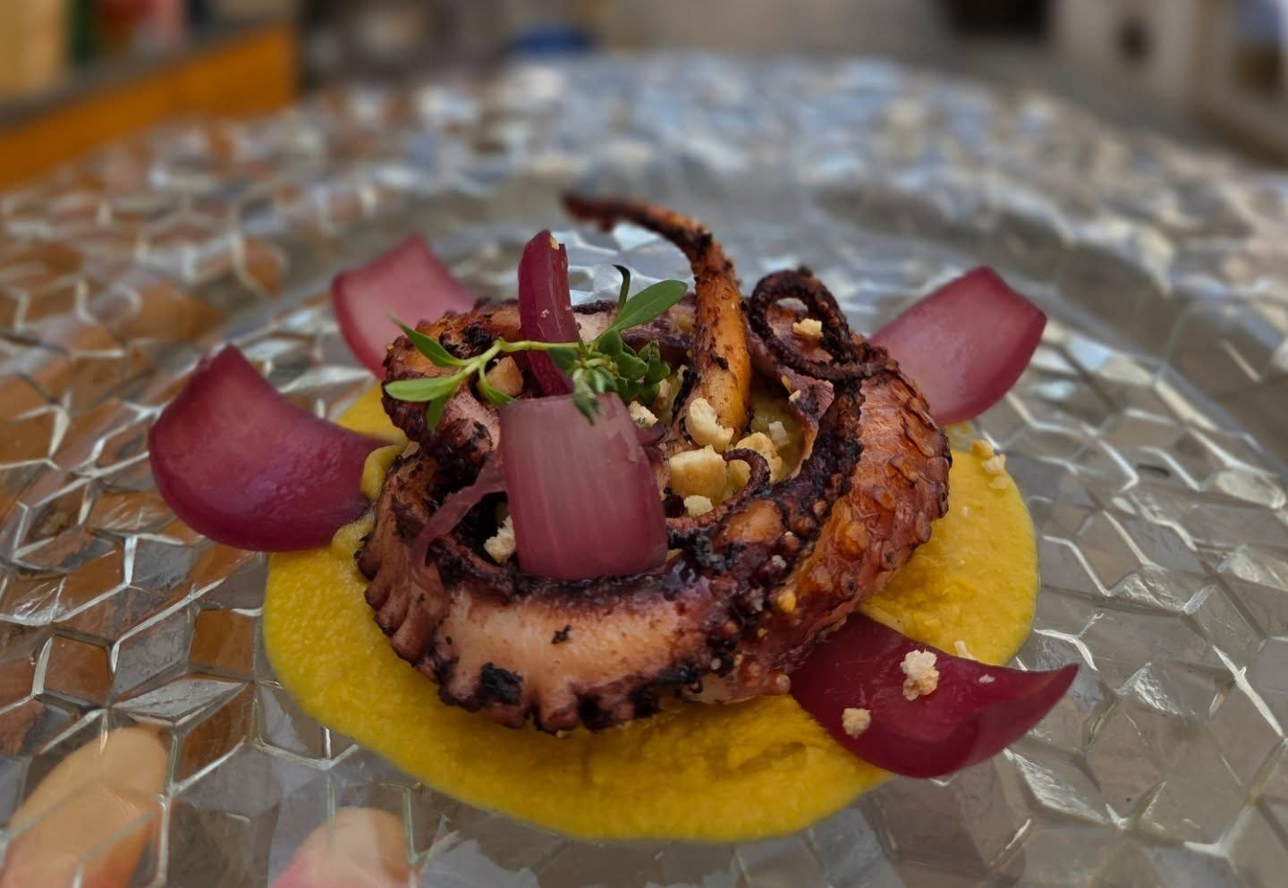 Polpo grigliato su purea gialla, guarnito con erbe aromatiche e ravanello rosso, servito su un piatto di vetro.