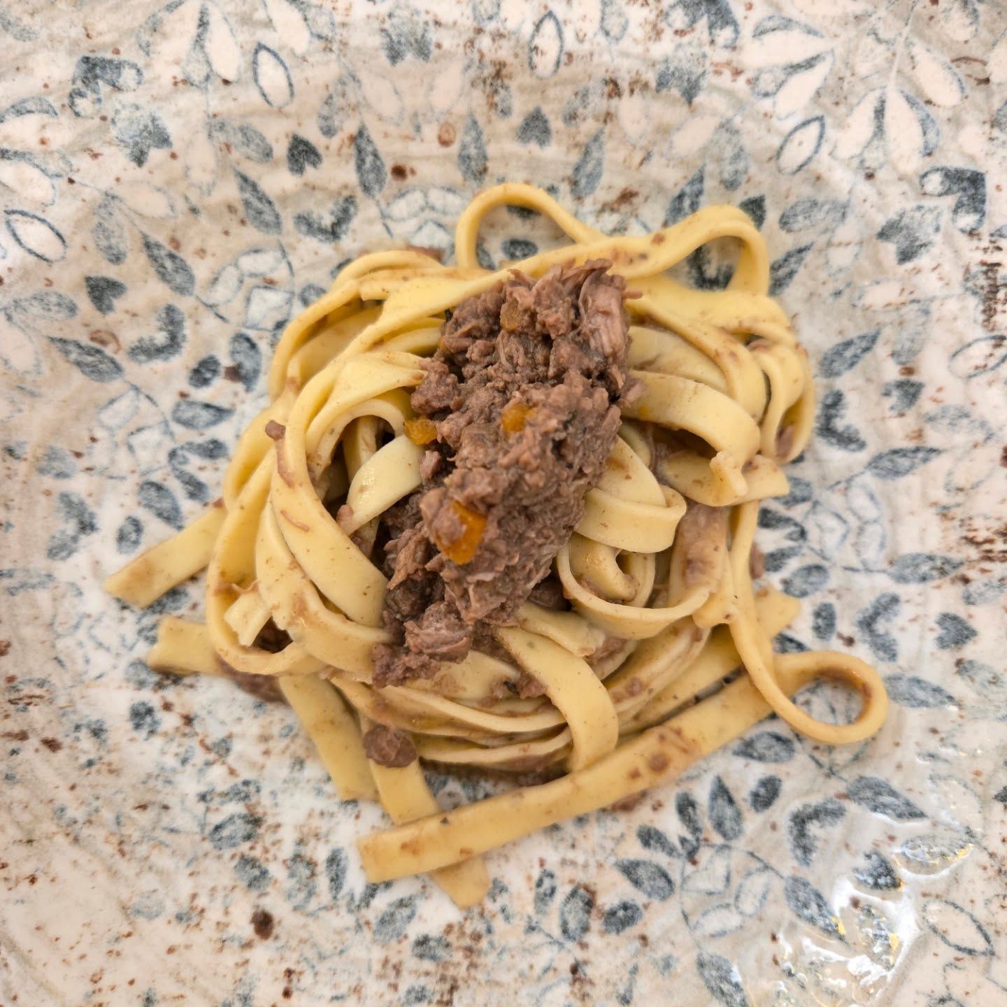 Nido di pasta sormontato da una striscia di ragù su un piatto maculato.