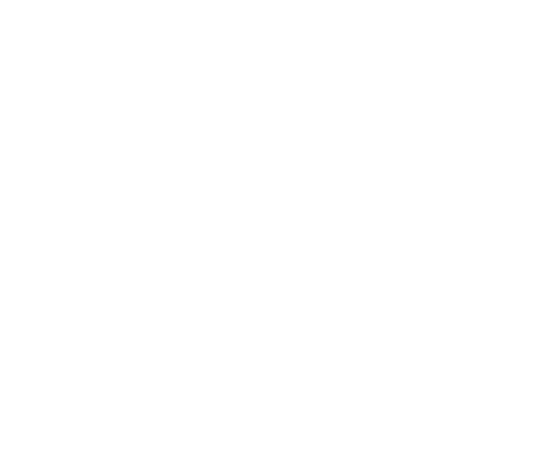 Norris Davis Electric Inc. Logo