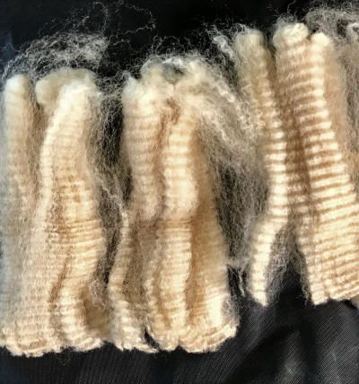 Close-up of several sections of tan-colored raw wool, displaying a crimped, textured appearance.
