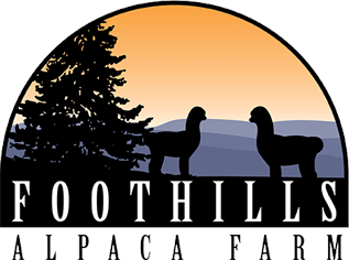 A logo for foothills alpaca farm with two alpacas and a tree