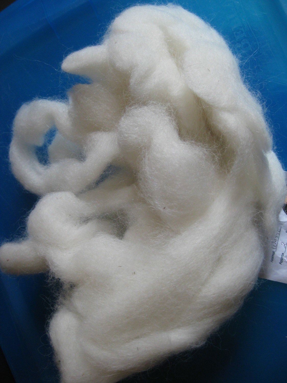 Close-up of white wool fibers, gathered in a soft, cloud-like mass.