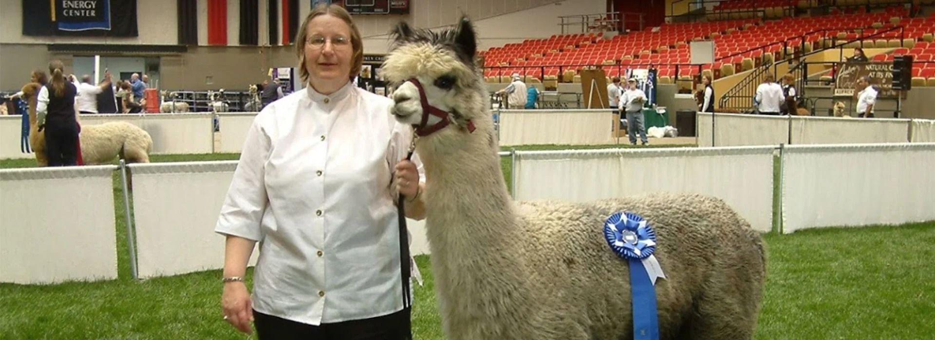 A woman poses with a light-colored alpaca wearing a blue ribbon in an arena with red seating.