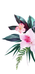 Light pink flowers and tropical leaves against a white background.