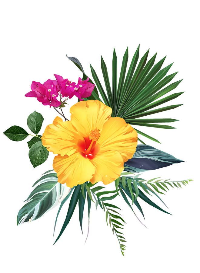 Yellow hibiscus flower with pink bougainvillea and assorted green tropical leaves. Yellow hibiscus flower with pink bougainvillea and assorted green tropical leaves.
