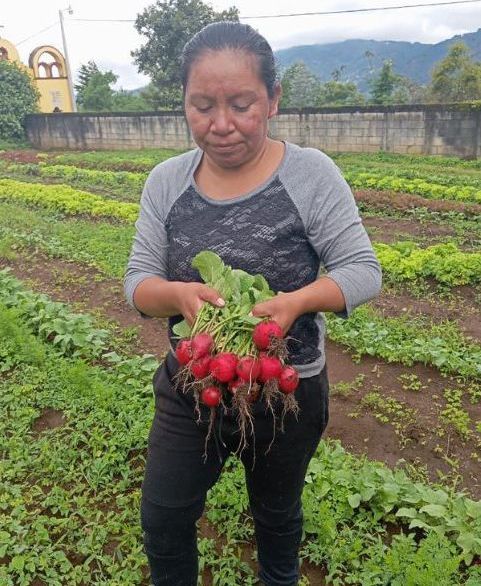 Support Community Gardens With Foundation for the Higher Good.