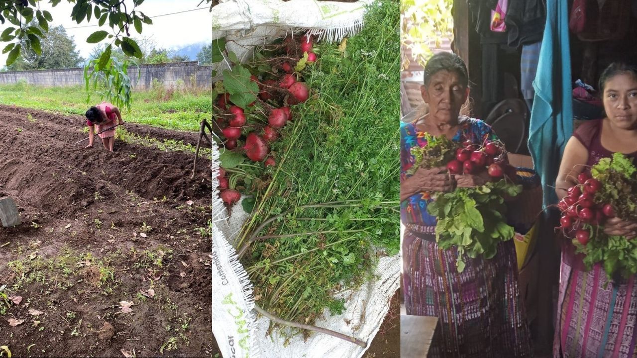 Foundation for the Higher Good Educates on Nutrition and Healthy Eating.