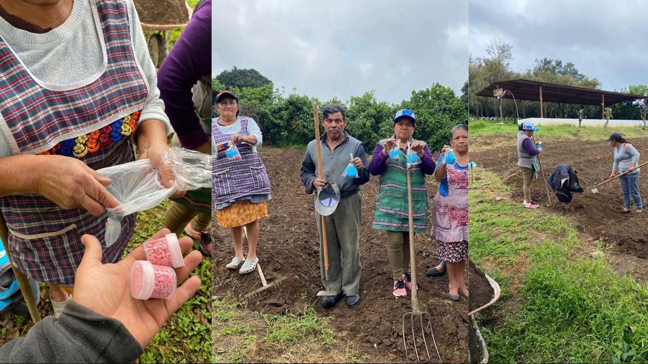 Foundation for the Higher Good Provides Seeds and Tools for Family Gardens.