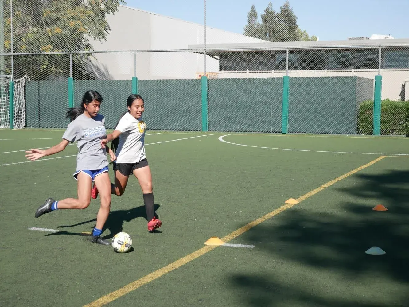 Two people playing soccer on a green field. One kicks the ball, the other follows.