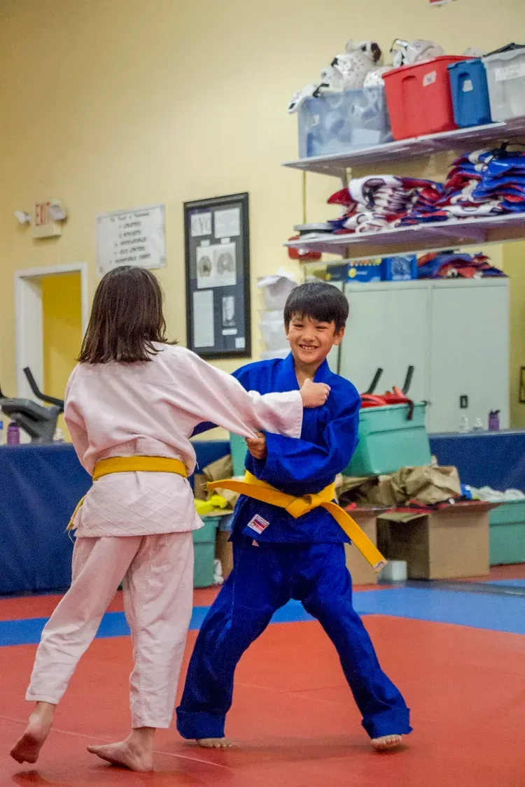 Two children in judo uniforms practicing, one blue, one pink, in a dojo.