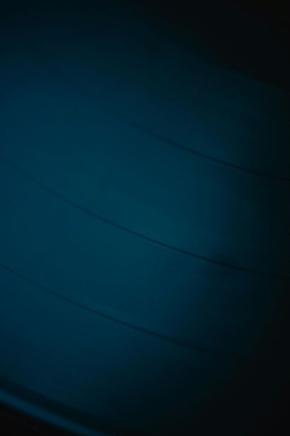 Woman in blue polo shirt smiles, arms crossed, standing in front of green foliage.