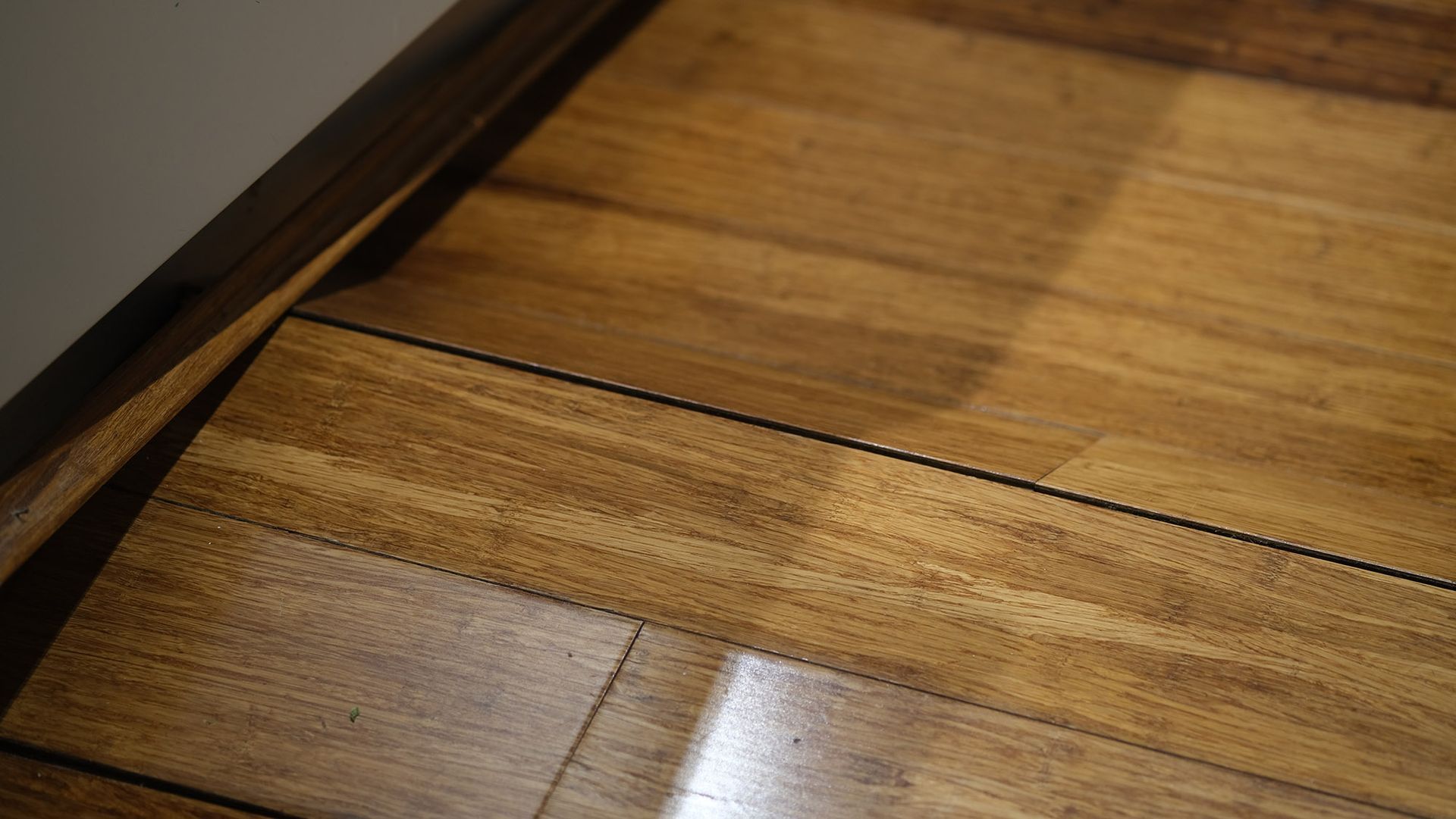 Wooden flooring, close-up. Shiny, brown, wood grain visible. Dark lines separate planks.
