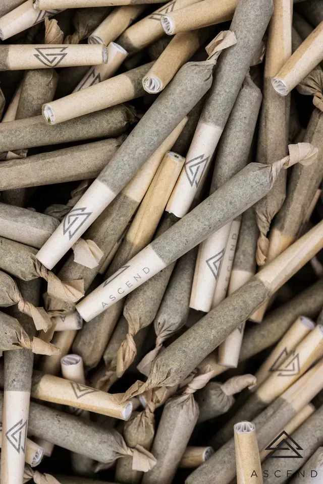 A pile of pre rolled joints with a triangle on them