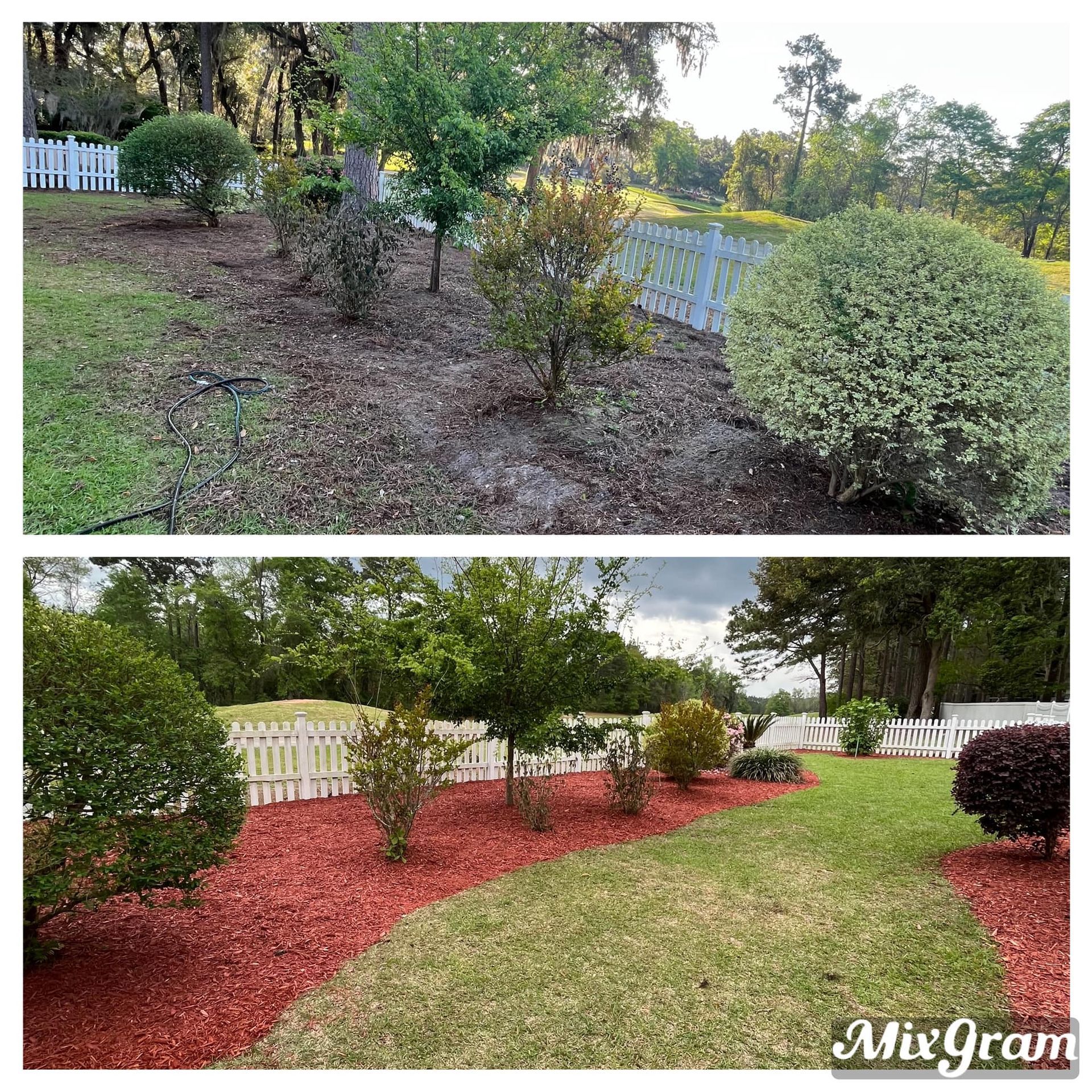 A before and after picture of a garden with mulch and trees.