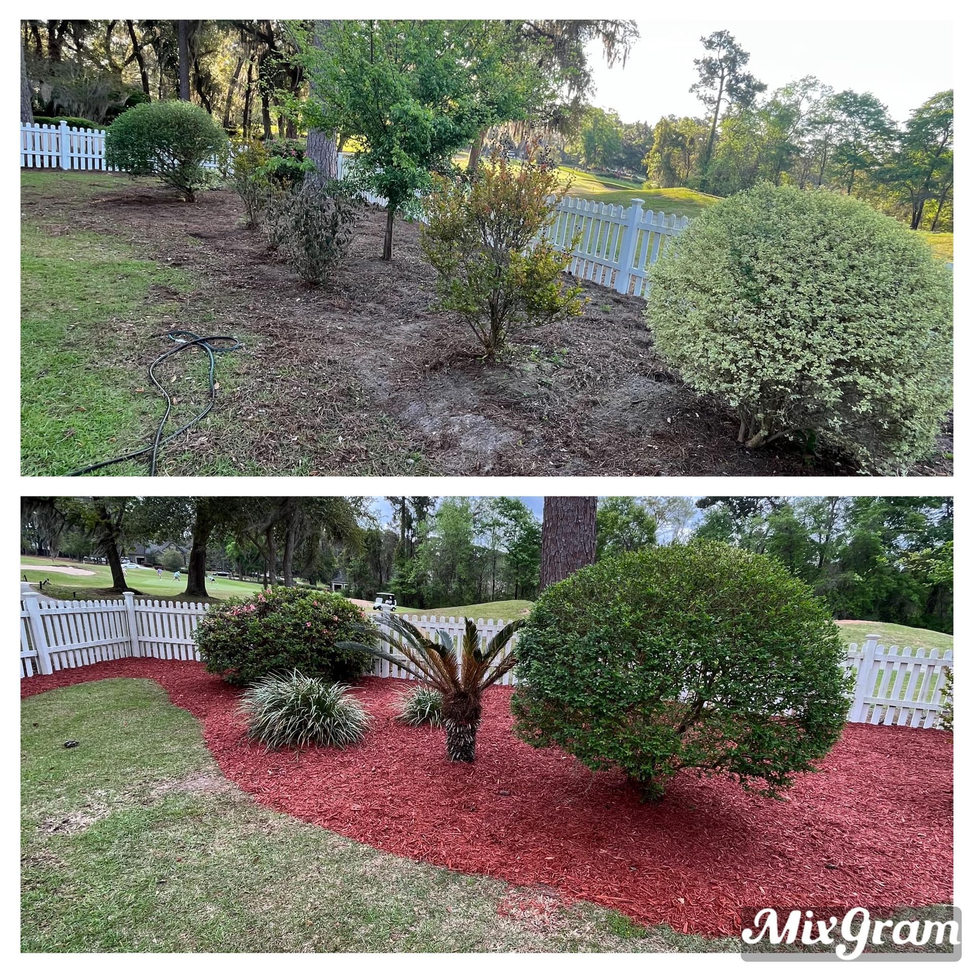 A before and after picture of a garden with red mulch.