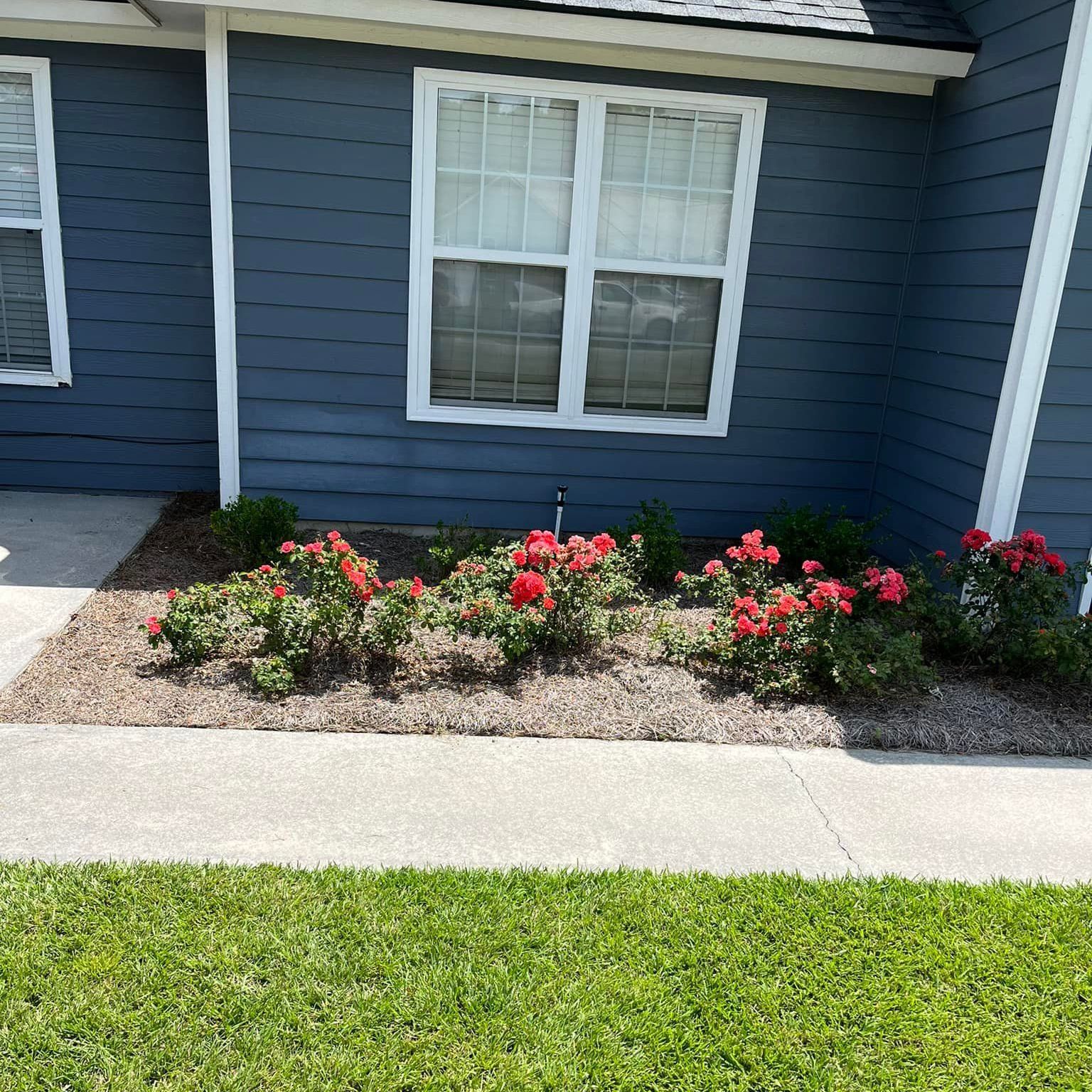 A blue house with red flowers in front of it