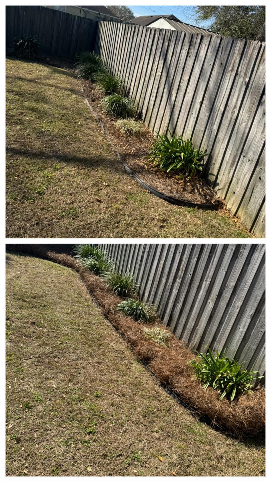 A before and after picture of a lawn next to a wooden fence.