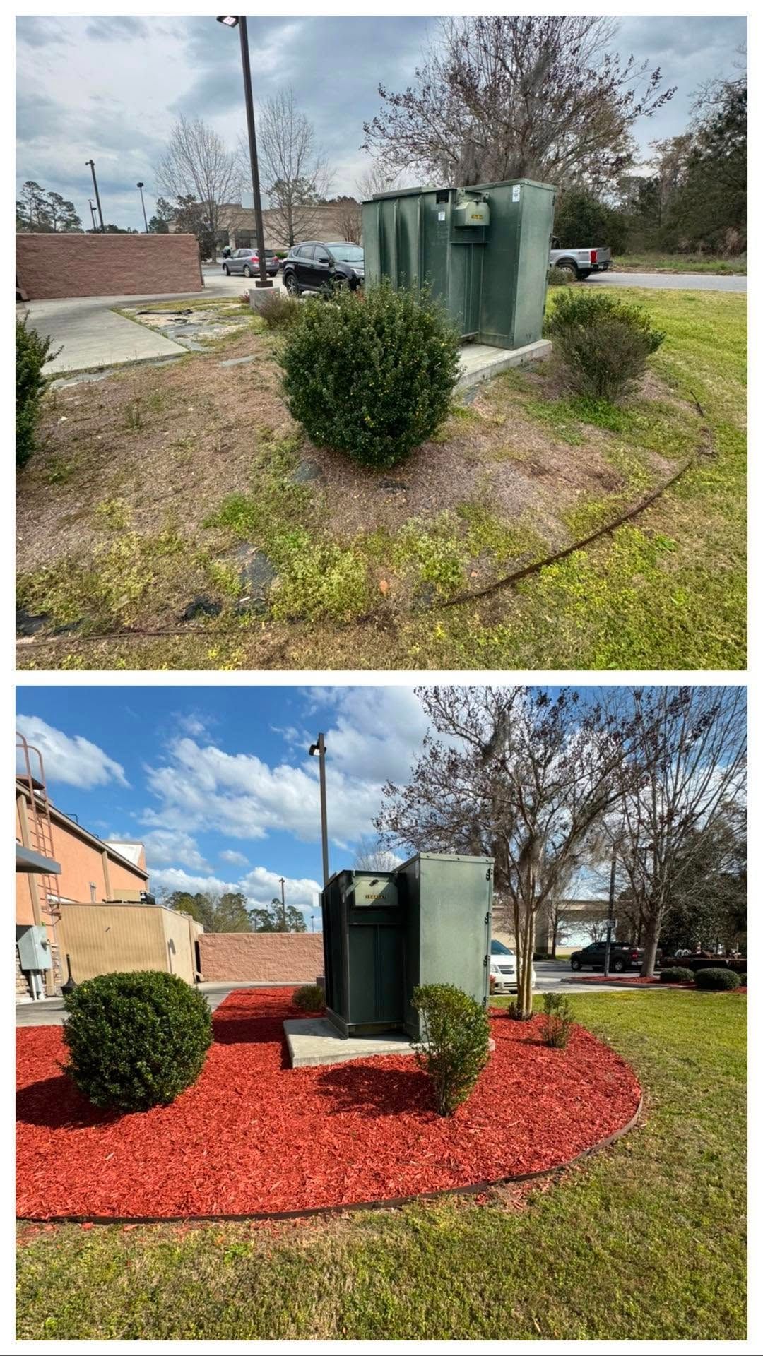 A before and after picture of a garden with red mulch.