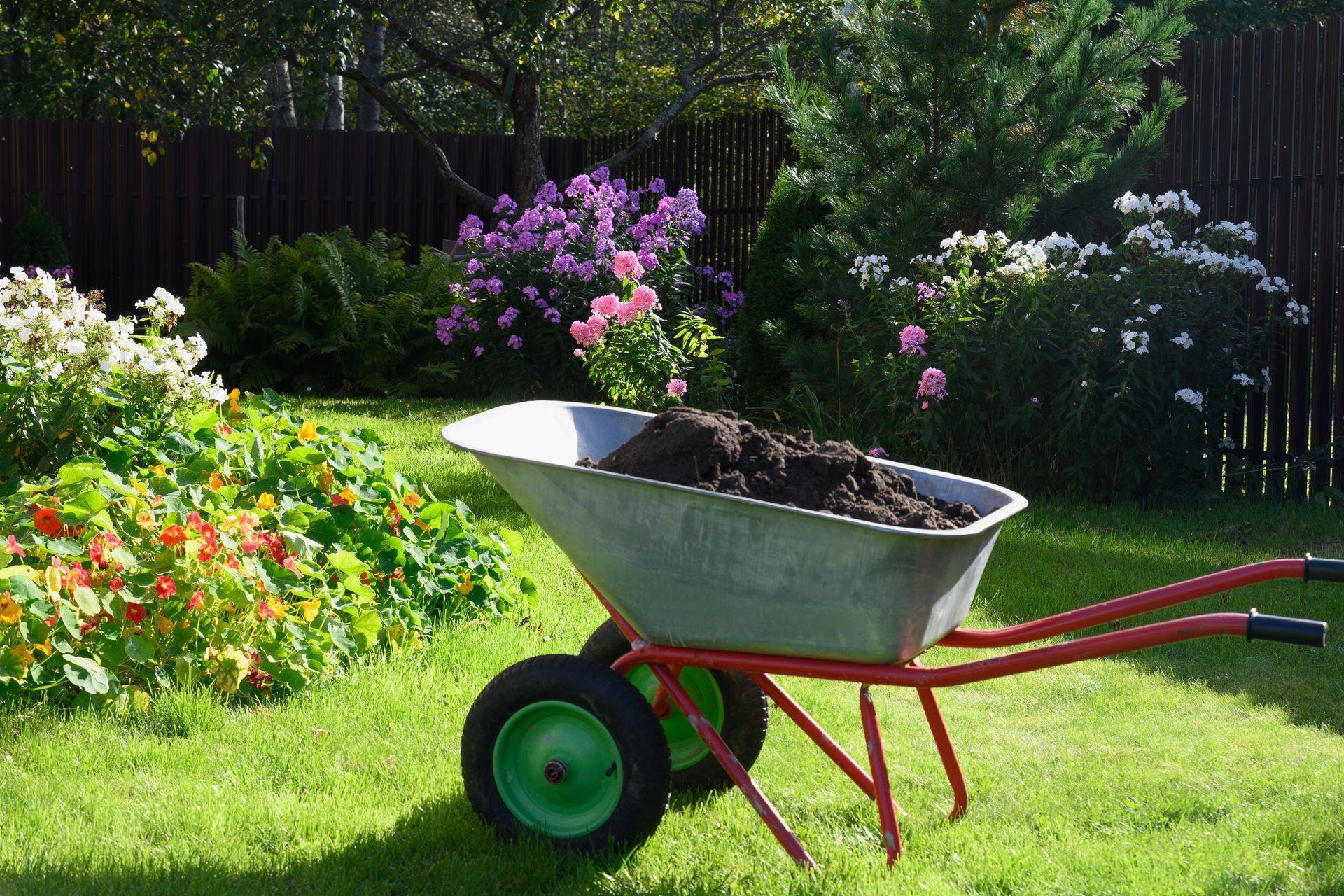 A wheelbarrow is full of dirt in a garden