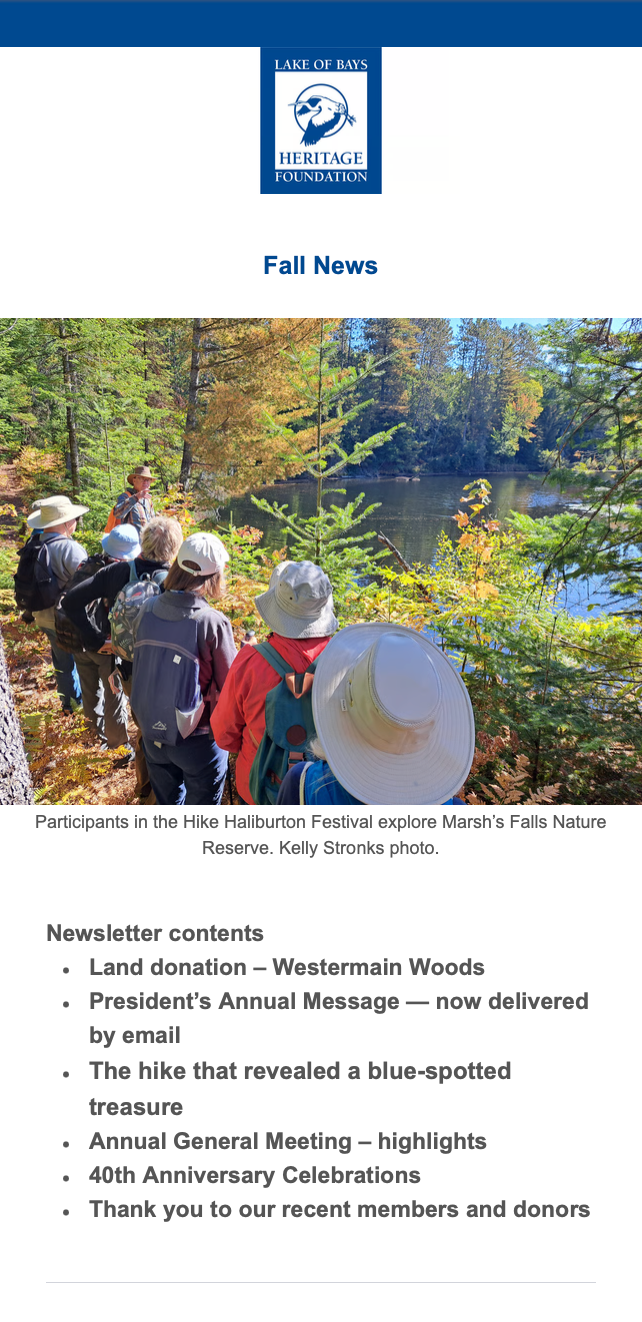 Newsletter Preview Newsletter Preview