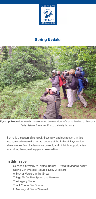 Newsletter Preview Newsletter Preview