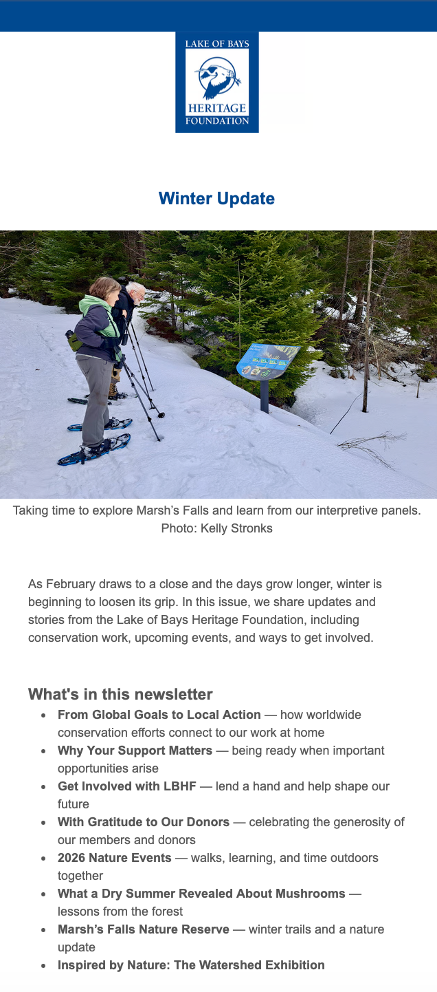 Newsletter Preview Newsletter Preview
