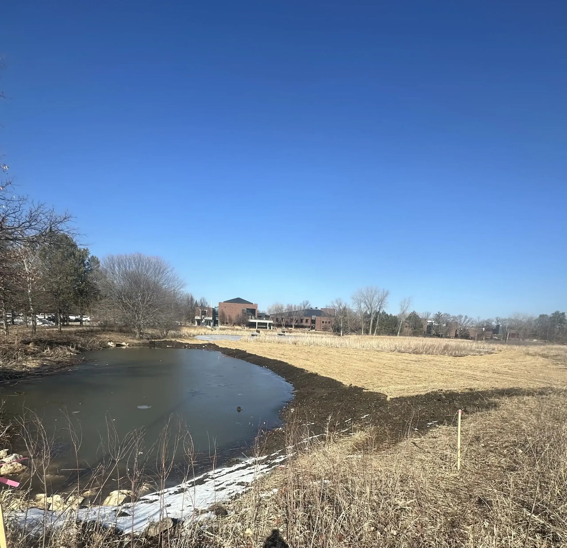 Curving pond beside a dry grassy field under a clear blue sky, with trees and distant houses