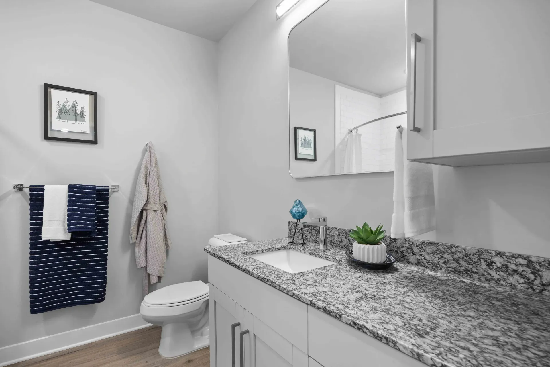 Bathroom with white cabinets, granite countertop, mirror, and a small plant.