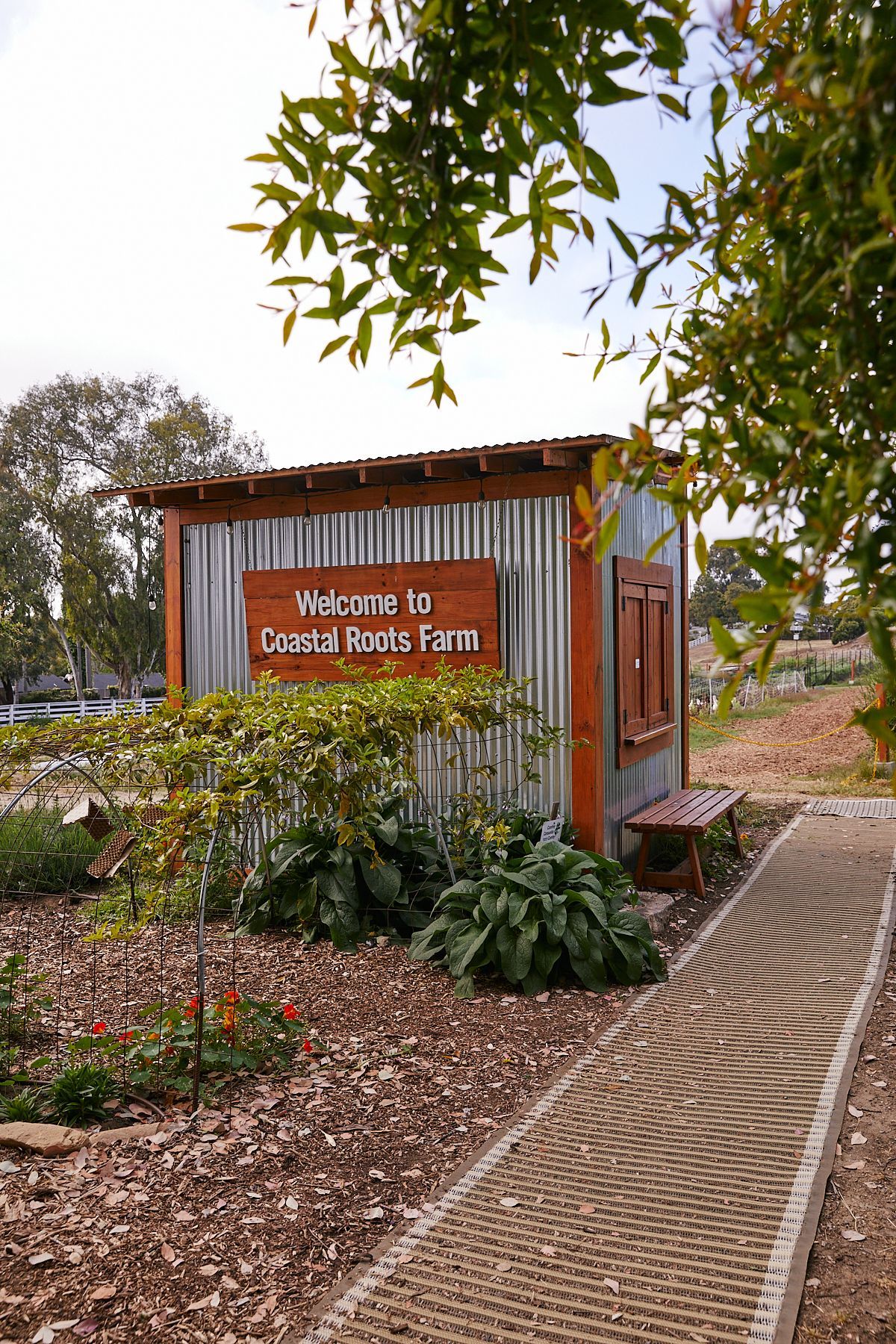 Coastal roots farm farm to table dinner