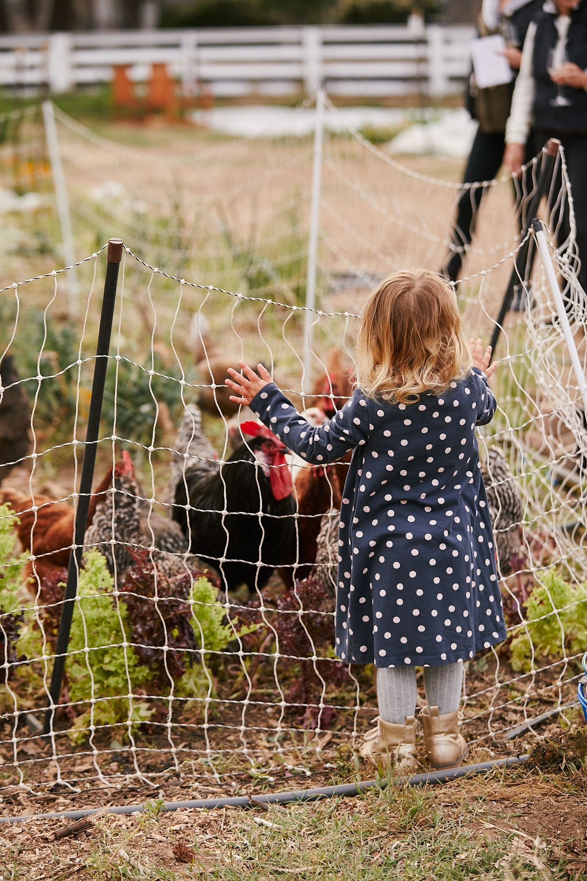 Coastal roots farm farm to table dinner