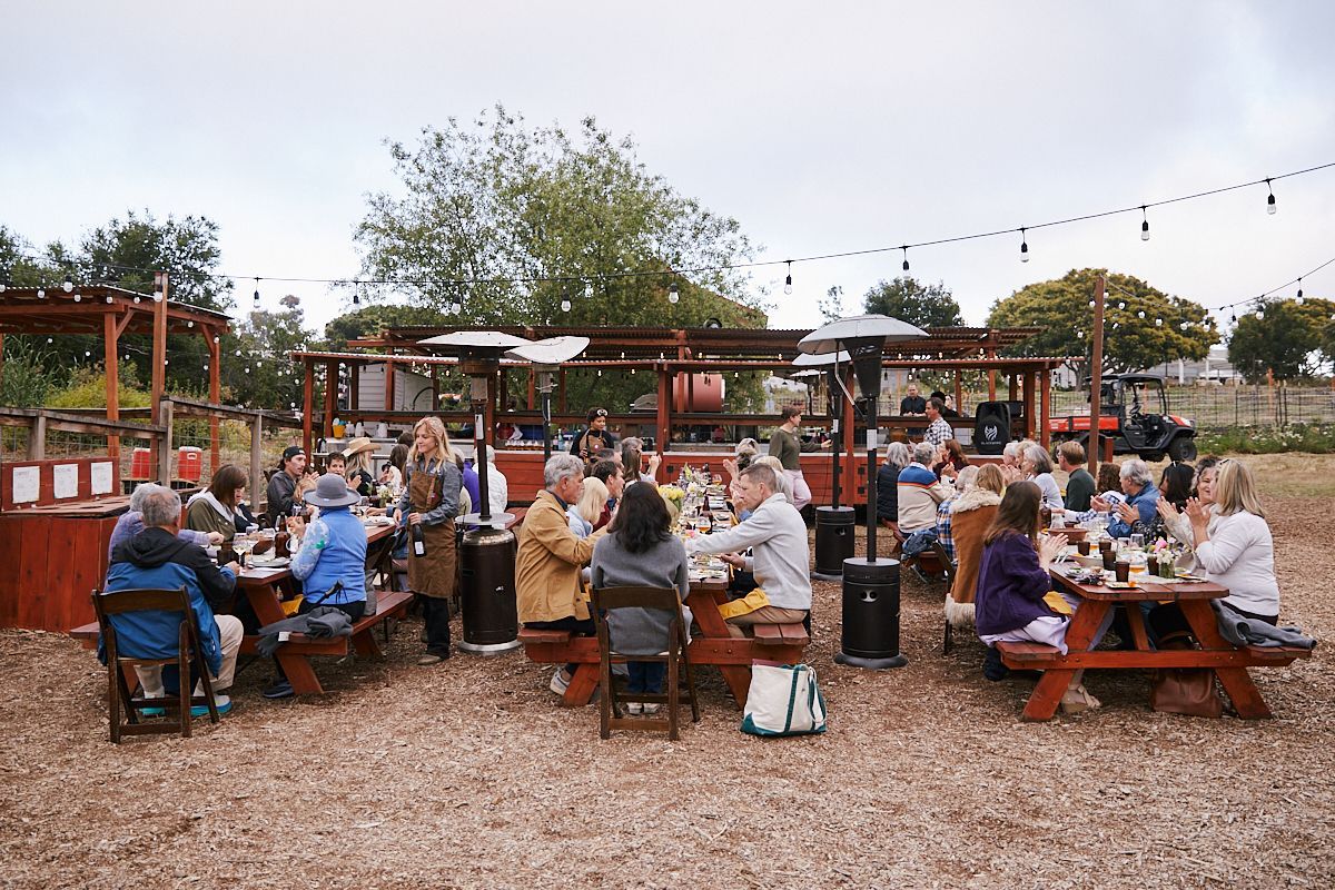 Farm to table dinner