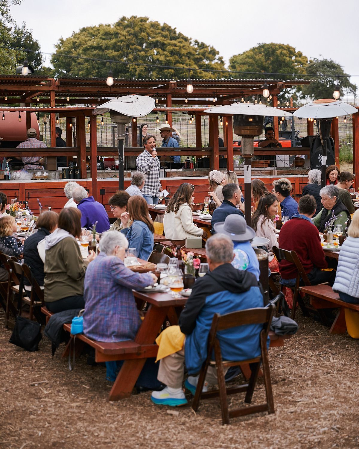 Farm to table dinner