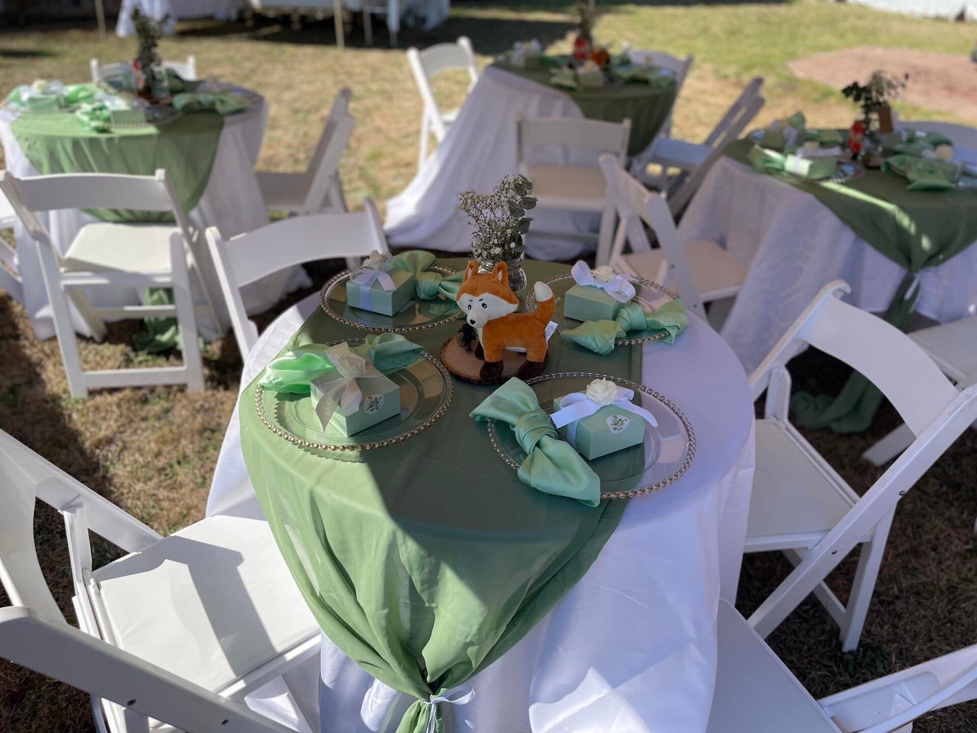 A table with a green table cloth and a fox on it