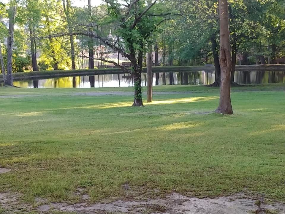 A lush green field with trees and a lake in the background