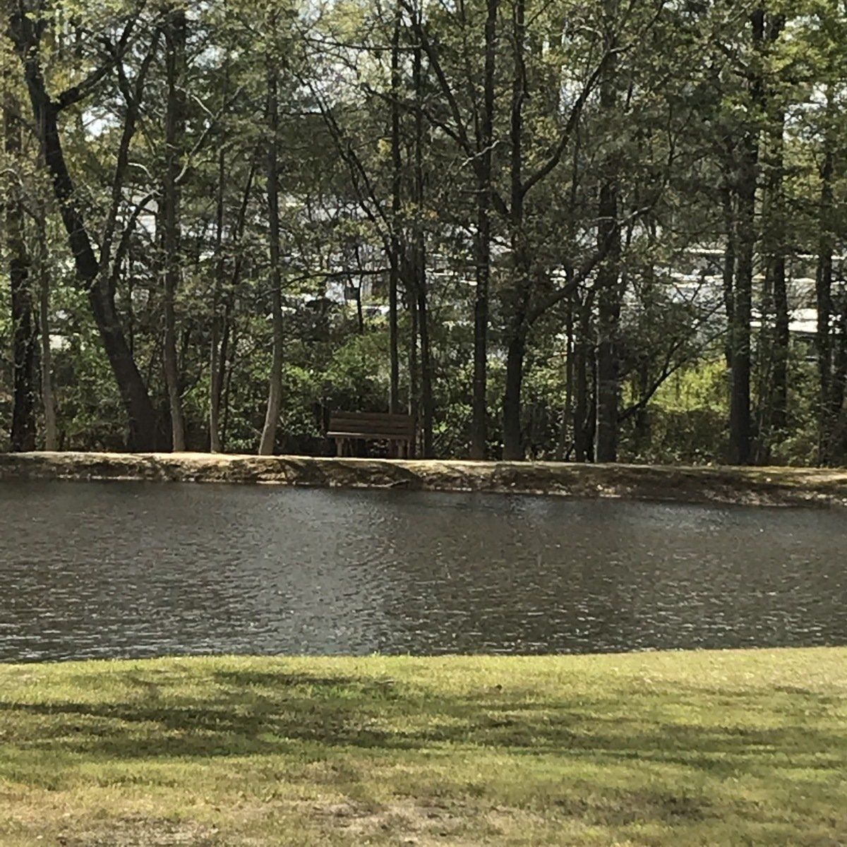 A large body of water surrounded by trees and grass in a park.