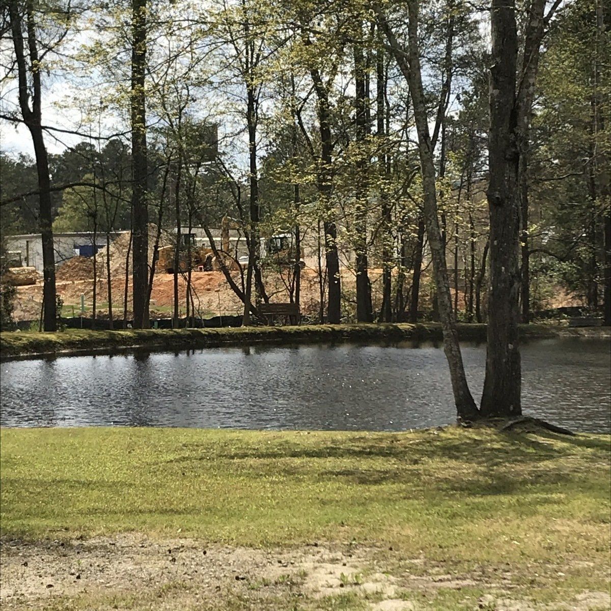 A large body of water surrounded by trees in a park.