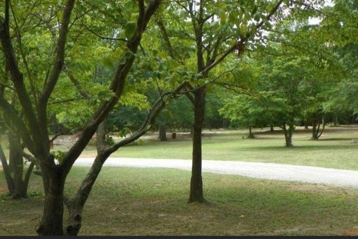 A park with lots of trees and a path