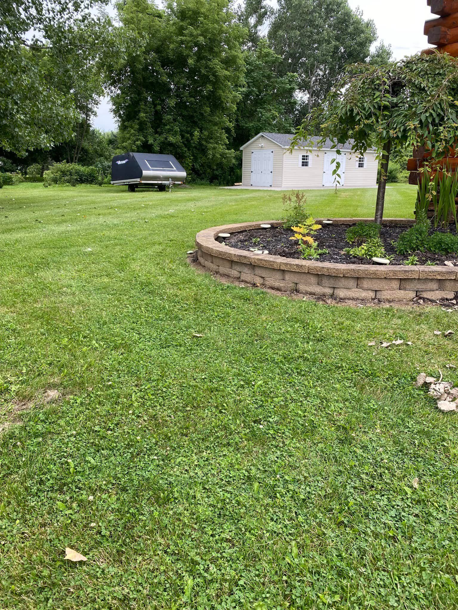 A lush green lawn with a brick wall and a shed in the background.